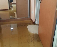 Просушка однокомнатной квартиры